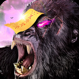 六合宝曲229333COM